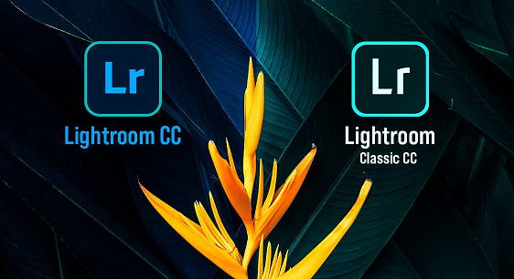 Download Lightroom Classic CC - Phần mềm xử lý ảnh số, nâng cao chất lượng ảnh